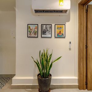 Estudio Estándar